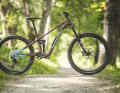 At 17.6 kilos without pedals, the Marin weighs the most.