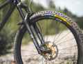 Both the frameset and the complete bike are available exclusively with suspension elements from DT-Swiss. The simple and intuitive operation matches the carefree character of the Mini Murmur.