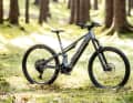 Canyon Neuron:On AL9 // Bosch Perf. CX // 800 Wh // 150/145 mm // 29 inch // 24.95 kg // 5499 Euro