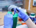 To detach the layups from the carrier film, they are sprayed with ice spray, which briefly neutralises the adhesive effect.