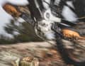Im Stealth-Modus: Ist der superleichte Bikedrive AIR S von Maxon der neue Überflieger?