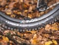 Gerade bei herbstlichen oder winterlichen Bedingungen kann die geschmeidige Karkassenkonstruktion des Schwalbe Albert Gravity punkten. Ein idealer Motivationsschub für Trail-Runden in der dunklen Jahreszeit.