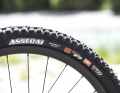 Perfect tyre choice right from the factory: At the front, the Conway rolls on Maxxis' Assegai Exo+ in the super grippy MaxxGrip compound.