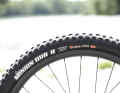 For braking traction and puncture protection, there's the DHR II with double-down casing at the rear.