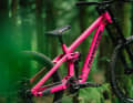 Dual Crown version from USD 5,199: 200 mm travel, GX 7-speed drivetrain and full equipment for the hard-core freeriders.
