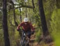 The Cygnus still handles well on steep and steeper terrain. However, the fork in particular reaches its limit here.
