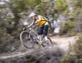 Crossworx Lite 290 - exciting all-mountain bike with lively suspension.