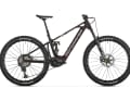 Mondraker Crusher RR: 9499 euros, 23.5 kg according to the manufacturer.