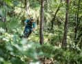 Down in the woods, the hairpin bends wind their way through a particularly beautiful stretch of woodland.