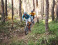 Canyon's duel partner is hot on the heels of the Cube AMS One11. On the climbs, the Cube gets the short end of the stick.