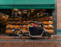 The new e-cargo bike from Decathlon: for transporting the big shopping...