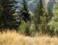 So you feel safe even on action-packed MTB excursions.