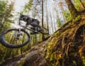 Now it was back to the local trails in the park.