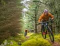 Weg von Öl und Kohle, hin zu mehr Nachhaltigkeit – dabei spielt in Schottland das Mountainbike eine zentrale Rolle.