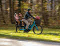Vielseitiges Lastenrad im Trekkingbike-Format mit 26-Zoll-Laufrädern: das Cube Hybrid Longtail