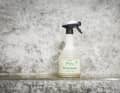 The F100 Bio Cleaner from Dr Wack cleans well, doesn't cost the earth and is very environmentally friendly. Test winner in BIKE 6/23.