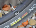 As a French manufacturer (Decathlon and Mavic), the tricolour is also allowed on the rim.
