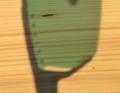 When worn, the lens gives the impression of being blue or green, depending on the angle.
