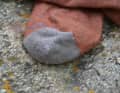... and on the toes. The shoes seem to be rubbing here. How long will it take for a hole to form?
