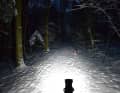 A fond la caisse ! Les 2000 lumens éclairent le chemin tout autour, dans la neige, ils éblouissent presque directement devant le guidon.