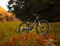 It wouldn't be Specialized if the new Epic S-Works didn't come up with a few innovations.