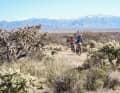 The snow-covered mountains in the background bear witness to the strong temperature fluctuations. During the race, it can be scorching hot, but also bitterly cold.