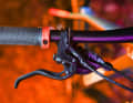Snappy, light, easy to adjust: The favourably priced Magura MT Thirty impressed in the practical test.