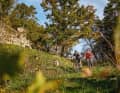 Alpine dolomite rocks, trails and views - Franconia definitely has a little bit of Switzerland in it.