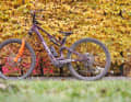 Robust but heavy - WTB Verdict 1,350 g, Judge 1,295 g. We tested the tyre combination on a Whyte eLyte EVO RS E-AllMountain. Price: 69.95 euros each.