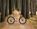 Rose calls its new cross-country hardtail "Pretty Damn Fast" (PDQ).