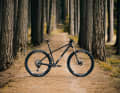 Rose offers the new 29-inch hardtail in four models, four sizes and three colour variants.