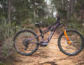 Whyte ELyte Evo RS // Bosch Performance CX Gen. 5 // 400 Wh // 150/142 mm // 29-inch // 8499 euros // 20.51 kg