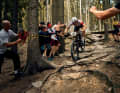 Despite its focus on riding fun, the Rose PDQ is also intended to be a serious cross-country racer.