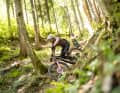 Relaxed cruising over the trail: The comfortable riding position and the fluffy chassis provide a lot of control and safety.
