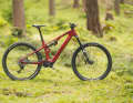 Merida eOne-Sixty SL 6000: 20.5 kg / 160/160 mm / 29 inch / 5999 Euro