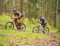 The modern geometry and lively Bosch motor are a joy to ride uphill.