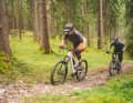The Mondraker climbs confidently with a steep seat angle and powerful motor. The rear suspension is a little lower, but provides plenty of traction.