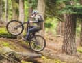 Plenty of motor power, good modulation and a pleasing geo - the ELyte Evo cuts a great figure on the climbs!