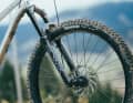 Only 160 millimetres of travel and the old Charger RC damping cartridge - compared to the forks of other enduro bikes, the Lyrik looks like a relic from bygone enduro times.