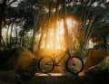 Mondraker KAOZ: 26 Zoll, ein Gang, starrer Hinterbau – das Dirt-Jump-Bike der Spanier rollt ab 4. Juni für 2.199 Euro in den Handel.