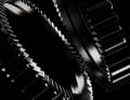 The new DEG freewheel of the 350 hub has 72 teeth and thus has a 5-degree subdivision.