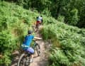 Turns: find your rhythm and get to the bottom almost without braking.