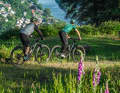 If you have a snack with you, this would be the perfect place: The view of Eberbach and the Neckar from the Itterberg.