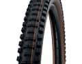 Schwalbe Big Betty