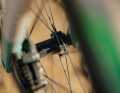 The wheelset weighs around 200 grams less than its predecessor.