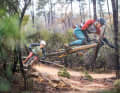 A duel of affordable enduro bikes: What can the Cube Stereo Hybrid 160 and Haibike NDuro do for around 5700 euros? Ready for tough terrain?
