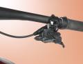 With Pinion, the gears are shifted using an ergonomically designed button. Electronically, of course.