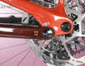 The rear triangle can be extended using a flipchip, allowing you to optionally ride a large rear wheel on the Levo SL.