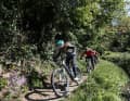 Flow uphill and downhill at the Emtb Trailcamp on Lake Kaltern.