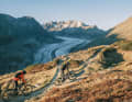 The Aletsch Glacier shines in the golden evening light, and 1400 metres of depth still lie ahead of us, a truly magical moment.  
